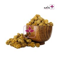 توت خشک محلی کردستان ژیناسو