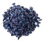 زرشک سیاه ژیناسو
