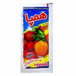 آلوجه سسی همپا ژیناسو