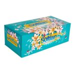 دستمال کاغذی جعبه ای دولایه سافتلن ژيناسو