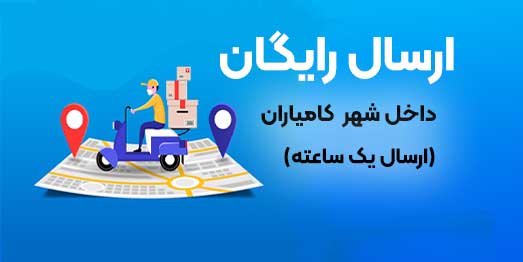 سوپر مارکت انلاین کامیاران| فروشگاه انلاین کامیاران ژیناسو
