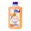 مایع دستشویی رافونه نارنجی ژيناسو