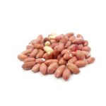 بادام زمینی ایرانی ژیناسو